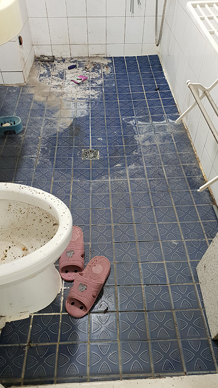 d40768774ef7b57056dfeaabbcc343f0_1547696798_7984.jpg